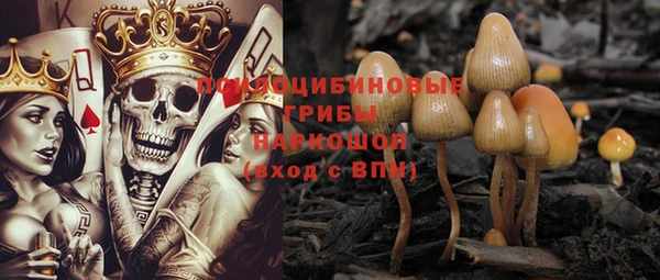 ешки Лиски