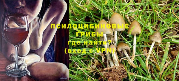 соль курить ск Липки